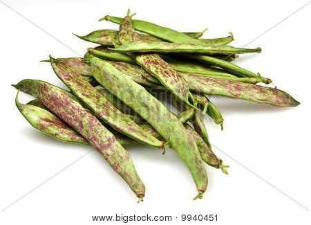 ถั่ว Borlotti สด
