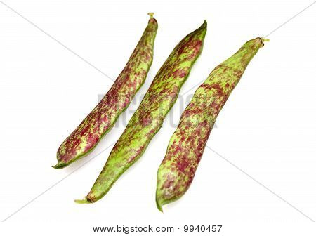 ถั่ว Borlotti สด