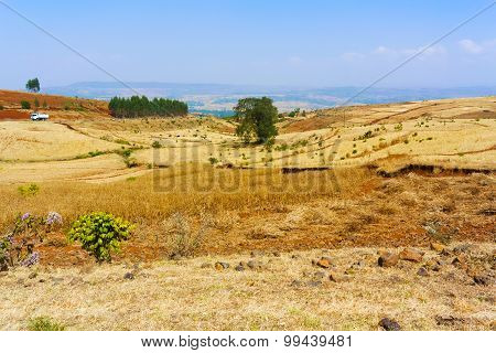 Farmland Landscape In Ethiopia