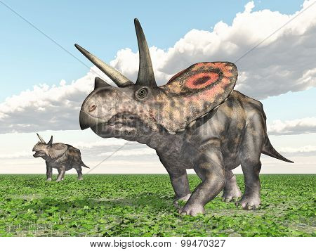 Dinosaur Torosaurus