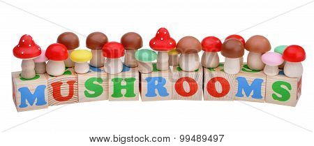 Wooden Toy Cubes With Letters. Mushrooms Concept