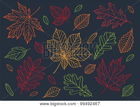 Fall of the leaves.
