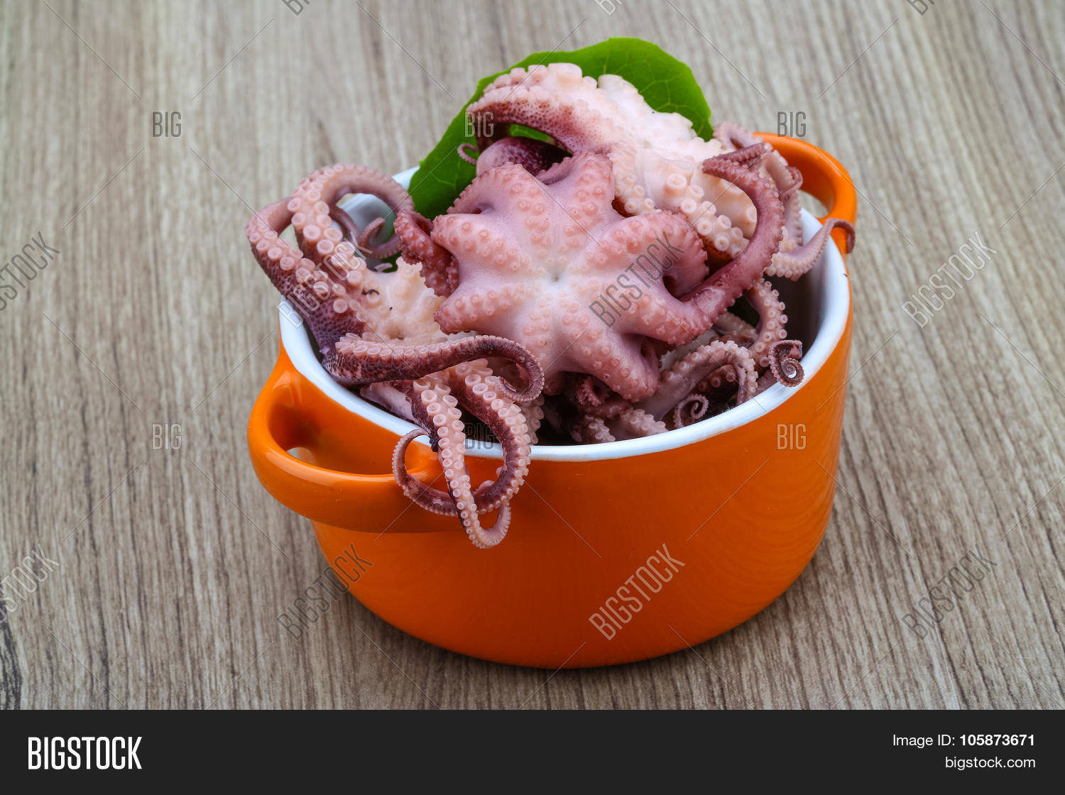 Маленькие сушеные осьминожки. Маленький осьминог. Маринованные осьминожки. Осьминог соленый. Осьминожки в рассоле.