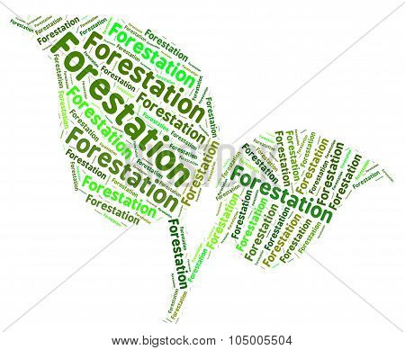 Forestation Word Means Forested Copse And Words