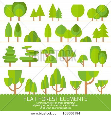 Set of different trees