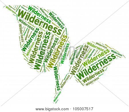 Wilderness Word Represents Uncultivated Land And Area