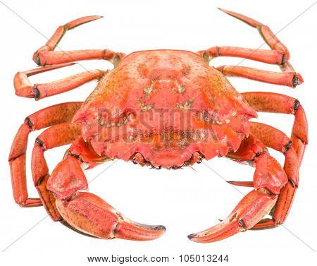 Cooked crab. File contains clipping paths.
