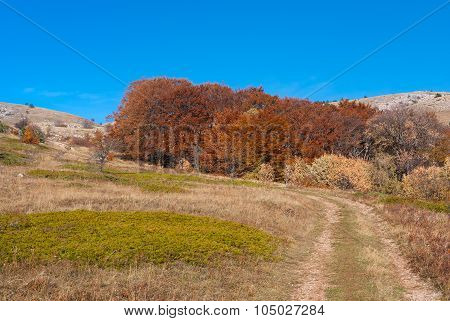 Road leading to Babuhan Yaila natural reserve in Crimea