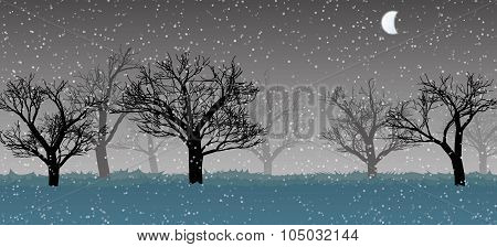 Forest In The Dark Mist, Snow, Trees Silhouettes