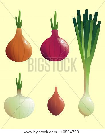 Onion_1