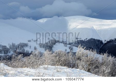 Frosty Winter Morning At Gemba Mountain Slope, Carpathians, Zakarpattia,western Ukraine