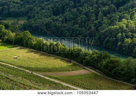 Rhine River View From Buchberg In Switzerland