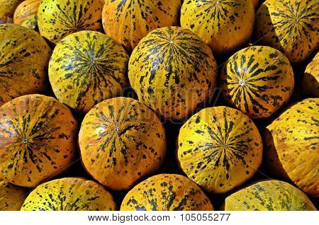 MELON