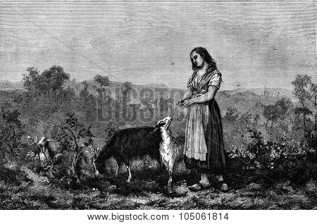 The Gardeuse goats painting by Lieven Goethals, vintage engraved illustration. Magasin Pittoresque 1877.