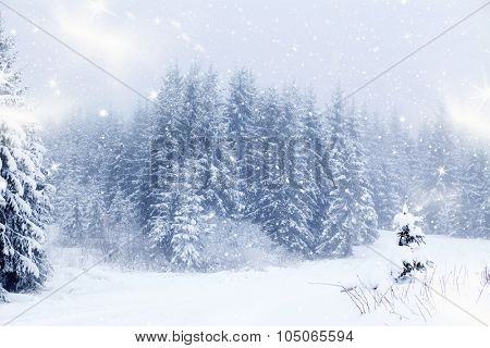Christmas background with snowy fir trees