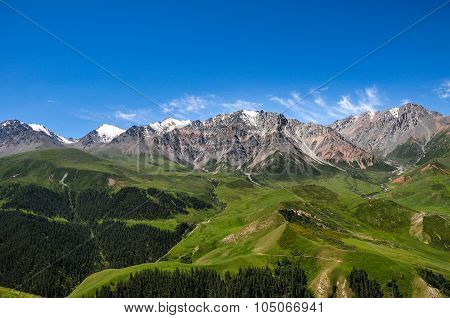 Qilian Mountains, with snow on the peak and forest at the bottom, in spring with clear blue sky