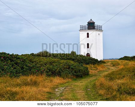 Small Lighthouse On The Coast