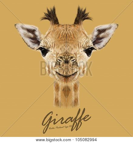 Vector Illustrative portrait of Giraffe.