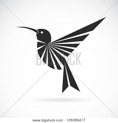 Vector Image Of An Hummingbird Design On White Background
