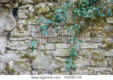 stone background. wery old, cracked,  gray wall