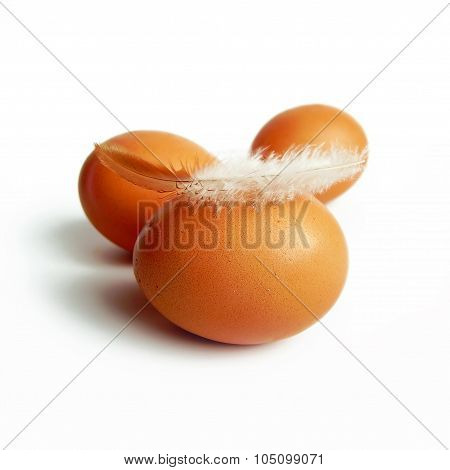 Three Eggs And Feather
