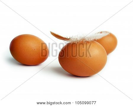 Three Eggs