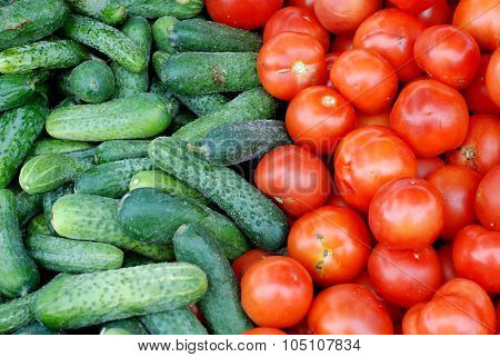 Fresh Cucumbers and Tomatoes For Sale