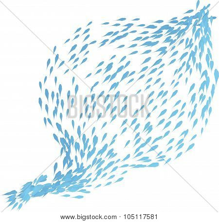 Shoal Of Fish