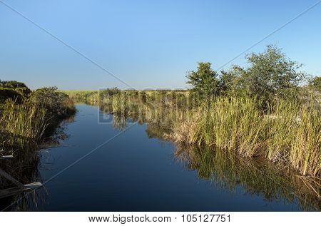 Freshwater Canal At Ft. Pickens, Florida