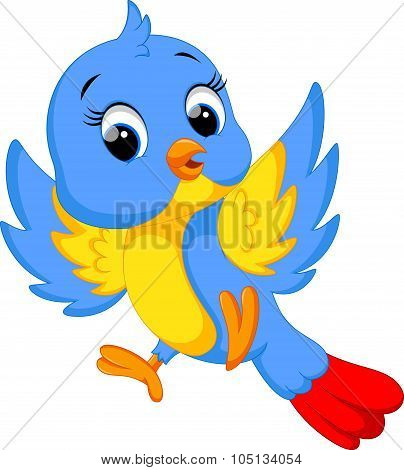 Cute bird cartoon
