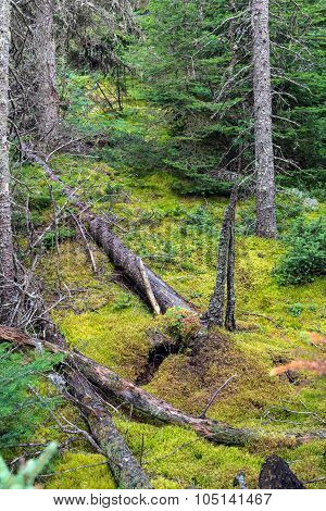 Pukaskwa