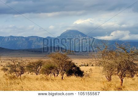 Landscape In Tsavo National Park, Kenya