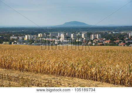 View Of Ajka, Hungary