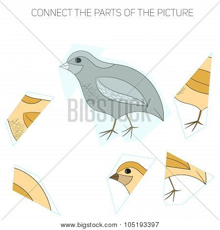 Puzzle game for chldren quail