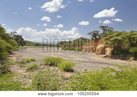 Dry River Bed In Kenya
