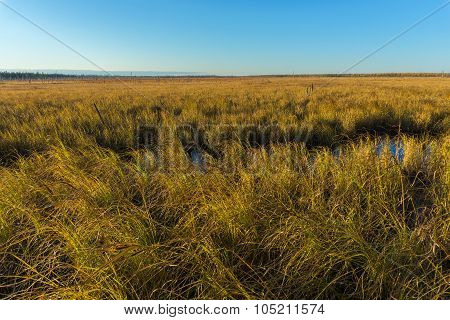 Autumn Landscape tundra