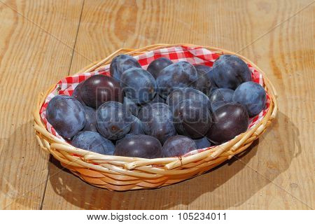 Freshly Harvested Plums