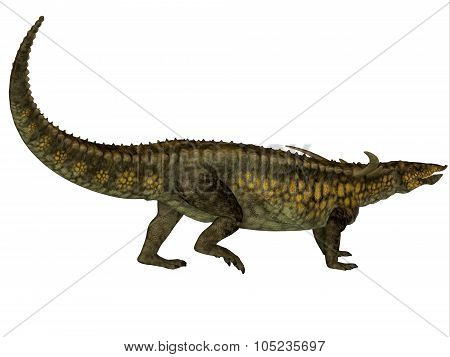 Desmatosuchus Profile