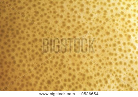 Buccia di pompelmo