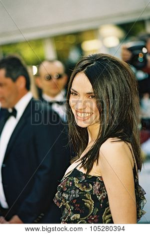 CANNES, FRANCE - MAY 18: French actress Beatrice Dalle attends the screening of the film 'The Ladykillers' at the Palais  during the 57th  Cannes  Festival May 18, 2004 in Cannes, France
