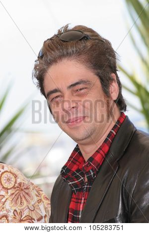 CANNES, FRANCE - MAY 18: Benicio del Toro  attends a photocall promoting the film 'Sin City' at the Palais during the 58th International Cannes Film Festival May 18, 2005 in Cannes, France