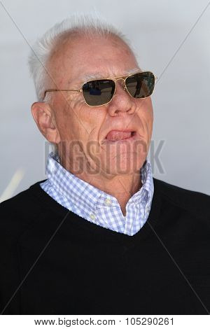 CANNES, FRANCE - MAY 20: Actor Malcolm McDowell attends the 'Le Lechon De Cinema: Malcom McDowell' photocall during the 64 Cannes  Festival at Palais des Festivals on May 20, 2011 in Cannes, France.