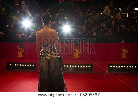 BERLIN, GERMANY - FEBRUARY 12:  A general view of atmosphere the 'Aloft' premiere during 64th Berlinale Festival at Berlinale Palast on February 12, 2014 in Berlin, Germany.