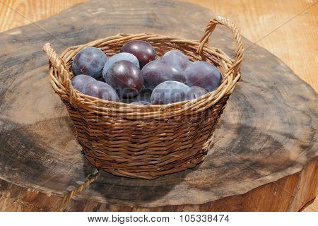 Freshly Harvested Plums