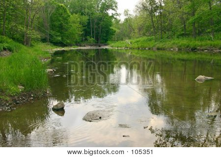 Creek refleksioner