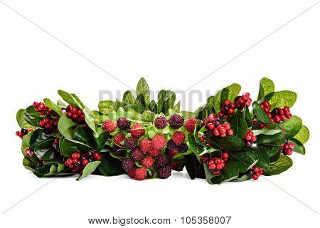 Composition of berries and currants