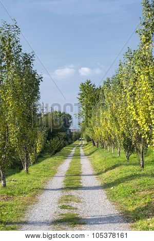 Park Between Milan And Monza