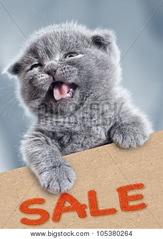 Sale!