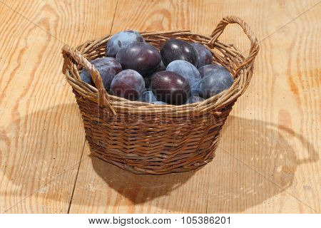Freshly Harvested Plums