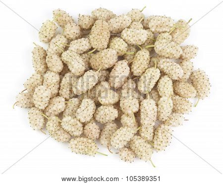 Mulberry